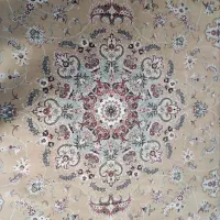 فرش 9 متری تمیز فقط ی مقدار یکطرف ریشه رفته،