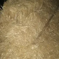 زارچ-زمین-خیابان-پاسداران