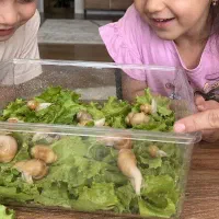 پت کم‌هزینه و آموزنده کودکان/ آچاتینا آلبینو