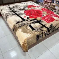 پتو