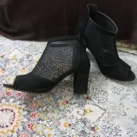 کفش مجلسی