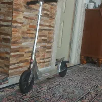 اسکونر