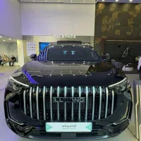 لوکانو L8، اتوخسروانی