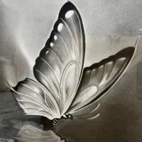 تابلو نقاشی سیاه قلم
