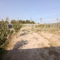 باغ-1360-متر-سند-تک-برگ-دار-در-منجیل-آباد