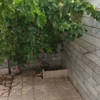 خانه-ویلایی-دوکله-در-حمیداباد