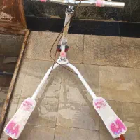 پروانه ای دخترانه