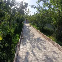 فروش باغ