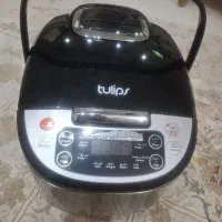پلوپز با سبد سرخ کن tulips