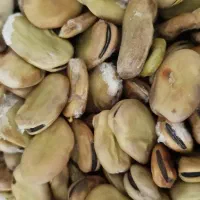 باقلا خشک شده
