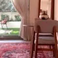 نظافت واشپزی