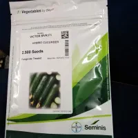 بذر خیار ویکتور