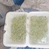 اسفندبادانه