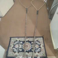 طور دست بلند پرنده