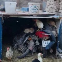 اتاق مسقف فلزی پیکان وانت