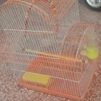 قفس پرنده