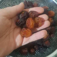 آلو بخارا خورشتی