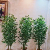 فروش درختچه مصنوعی ( بامبو)