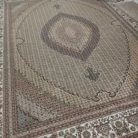 فرش|فرش|بندر انزلی, نوغان|دیوار