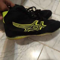 کفش کشتی|کیف، کفش، کمربند|فشم, |دیوار