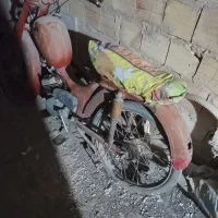 رکس 50 ساله