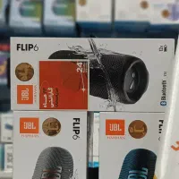 JBL Flip 6