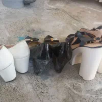 کفش مجلسی