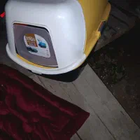 باکس  wc گربه همراه دشک