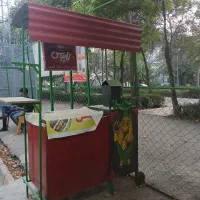 دستگاه بلال تنوری وفلافل
