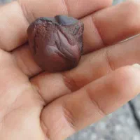 گوشی