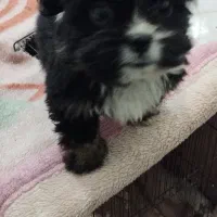 به دلیل نداشتن جا