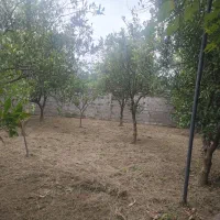 ۲۲۵ مترمربع زمین با سند و جواز روستای کترا