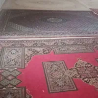 10عدد فرش 12متری همه باهم میفرپشم