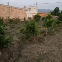 زمین-مسکونی-ازدارتپه-آزادشهر
