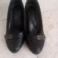 کفش مجلسی