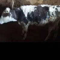 160میلیون