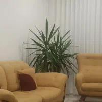 اپارتمان فروشی