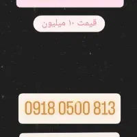 0918-0500-813