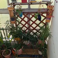 گلدان خالی 14عدد استند گل چوبی سه طبقه