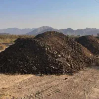 کود حیوانی. سر