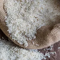 برنج صالحی