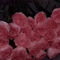 فروش رز روبانی تک شاخه  از ۳۰ هزار تومان