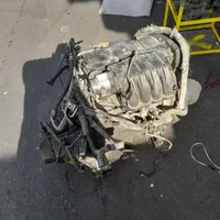 کلیه موتورهای ماشینهای ایرانی وخارجی اروپایی موجود