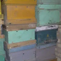 تعدادی کندو زنبور کاملا نو تمام چوب روسی