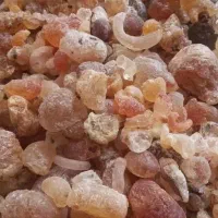 زدو ،الوک، مرورشک،شکرتیغال، کشک