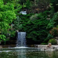 باغ-ثمری-فروشی
