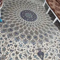 تعدادی فرش فوری