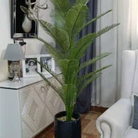 درختچه کنار سالنی