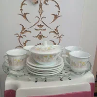چینی ارکوپال