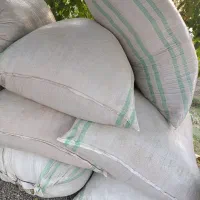 کاه